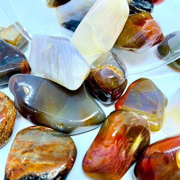 Tumbled Petrified Wood - Picture 4 of 4